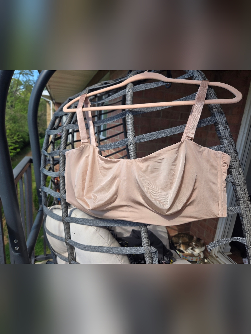 SET OF 3 Torrid Bras